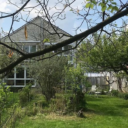 Rebenlaub Apartment Heringen  ภายนอก รูปภาพ